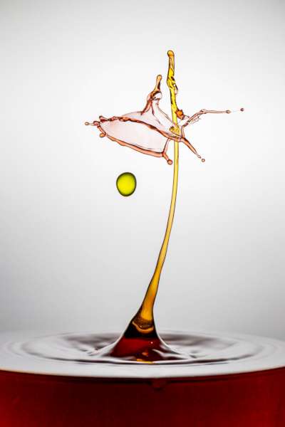 Abbas Kalantar (Iran) – golden bloom