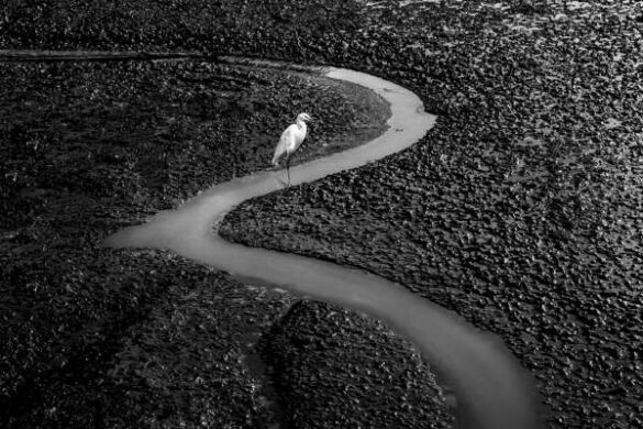 Abdullah Mohammed Othman (Yemen) – Finding Light