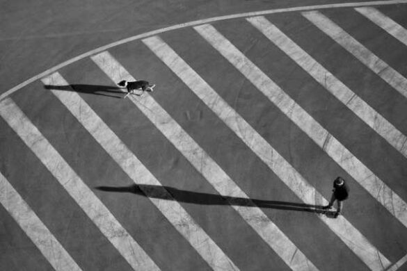 Aleksandar Tomulic (Croatia) – Man and dog