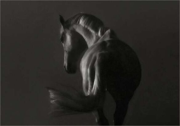 Allan Wallberg (Sweden) – Dark horse