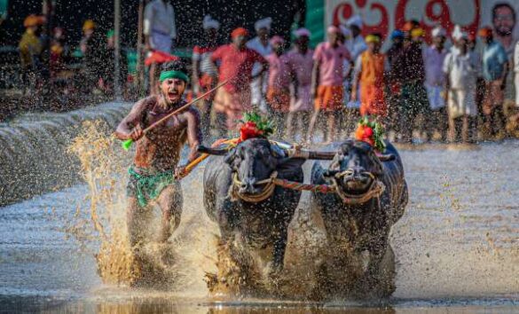 ArunKumar Madhan (India) – Race of Tradition