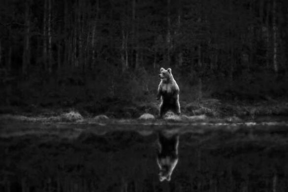 Atle Helland (Norway) – Nattens vokter