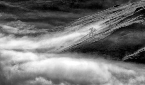 Backlight Group digital ribbon – John King (England) – Approaching Mist