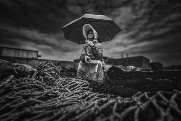 Backlight Group digital ribbon – Ryszard Lomnicki (Ireland) – 4