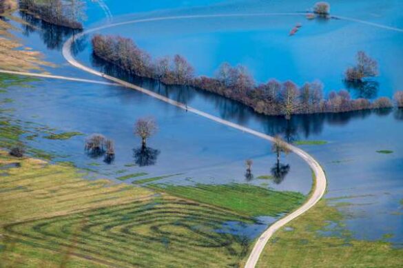 Bogdan Čok (Slovenia) – A flooded field