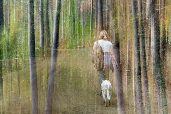 Bogdan Čok (Slovenia) – On the walk