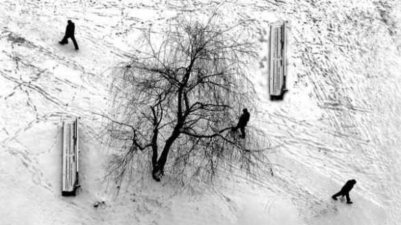 Boris Grafov (Russia) – Monday morning
