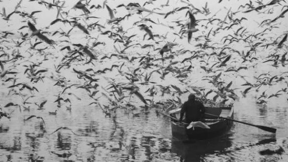Chintan Vyas (India) – Wings Across the Sac…