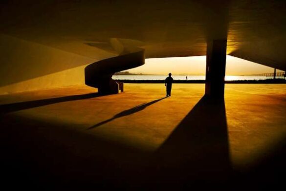 DIPA Digital Diploma – Roberto Soares Gomes (Brazil) – WORKER WITH SHADOW