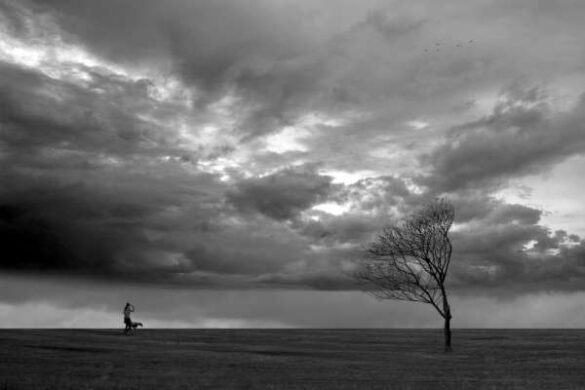 Dinabandhu Bhattacharya (India) – WAY TO HOME