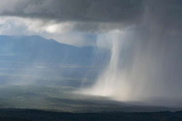 Elena Vtorushina (Russia) – Rainfall is coming