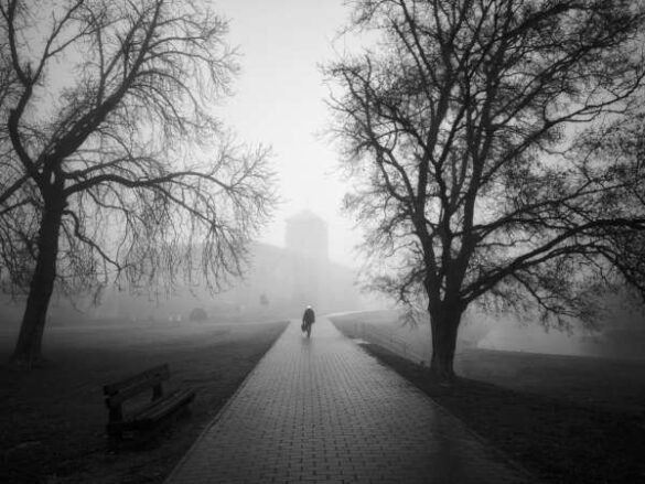 Éva Kenéz (Hungary) – Walking in the fog