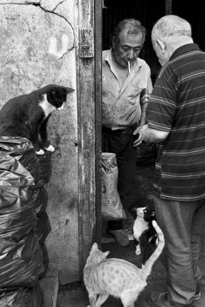 Fatemeh faraji (Iran) – Among old friends