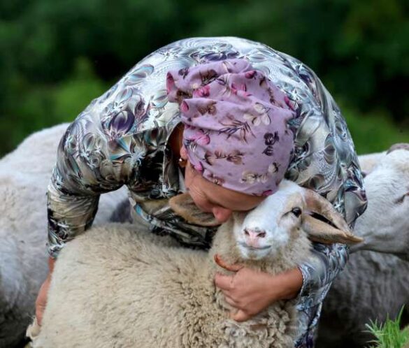 Gottfried Catania (Malta) – Shepherd and Sheep