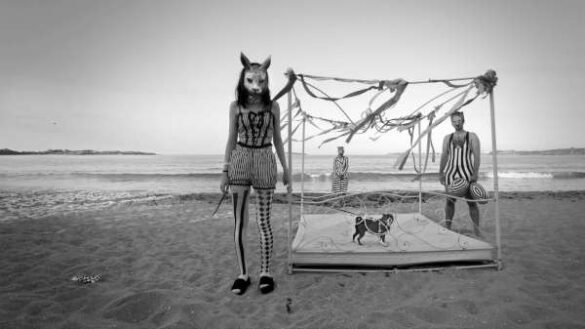 IAAP Honorable Mention E-Certificate – Rumen Somov (Bulgaria) – MIXED MARRIAGES – WE…