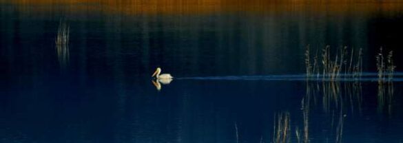 Iannis Skotiniotis (Greece) – A lonely journey