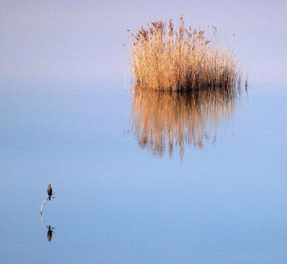 Iannis Skotiniotis (Greece) – Mirrors in the lake
