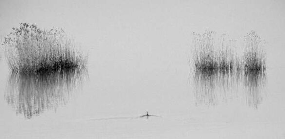Iannis Skotiniotis (Greece) – Peaceful navigation
