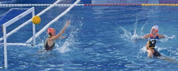 Iannis Skotiniotis (Greece) – Polo v60