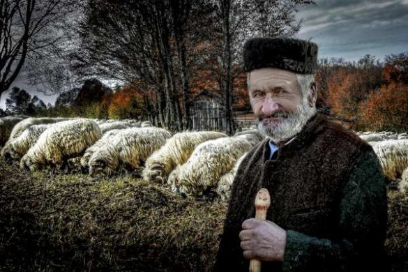 Incze Domokos (Romania) – 3 The Good Shepherd