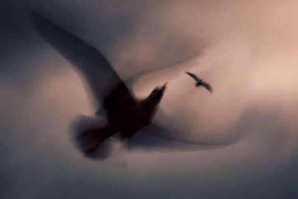 Iris Duchene (Germany) – Fang mich-600