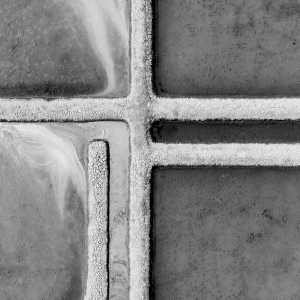 Iris Duchene (Germany) – Salt
