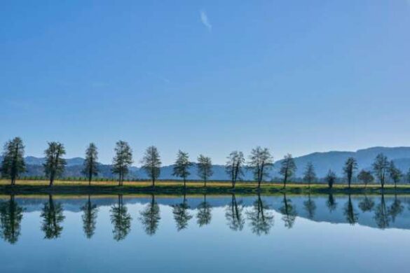 Jernej Biderman (Slovenia) – By the Sava river