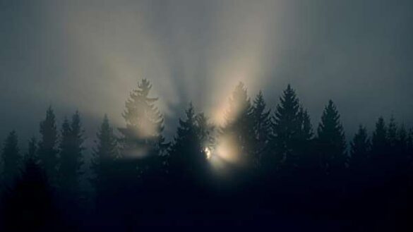 Lajos Lorincz (Romania) – Winter light in the …
