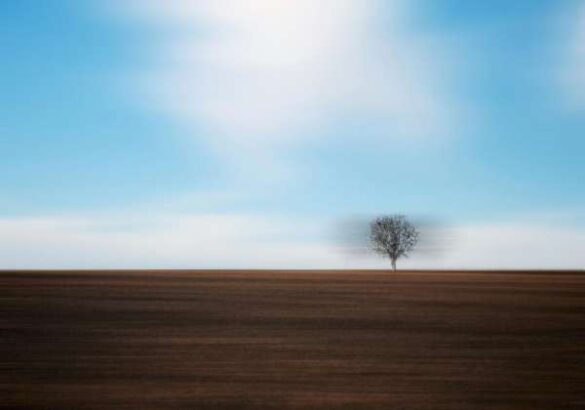 Marius Agache (Romania) – Autumn minimalism