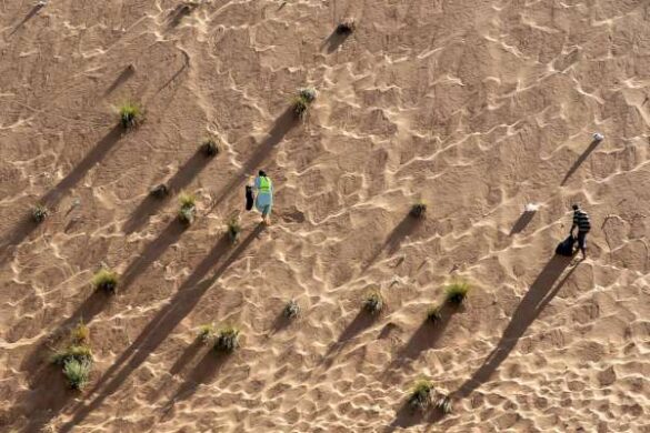 Master of Light E Ribbon – Suresh Meenakshisundaram (Oman) – Cleaning the Dune
