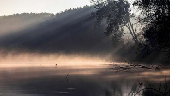 Milan Stulic (Serbia) – Unforgettable mornin…