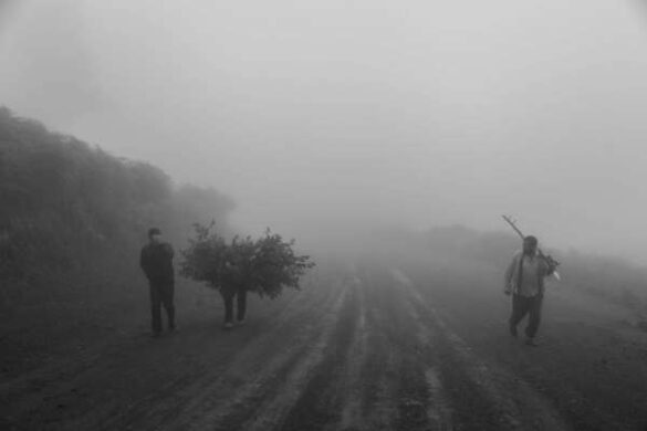 Mohammad Oladivatan (Germany) – In the fog