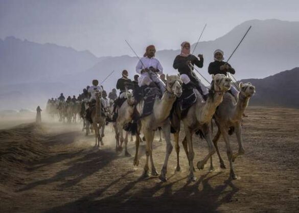 Mohammed Muhtasib (Saudi Arabia) – Camel herding in Tab…