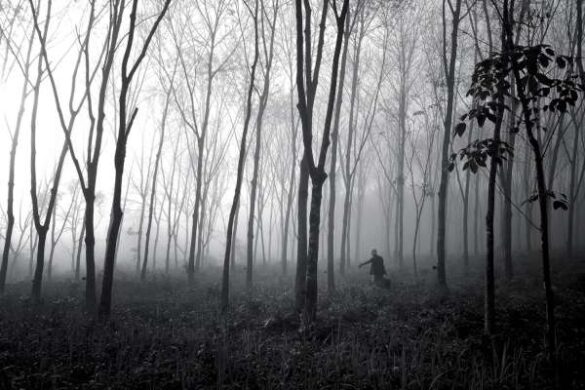 Myo Myo Aung (Myanmar) – Winter Morning View …