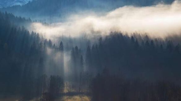 Nevenka Papic (Slovenia) – Ethereal moment