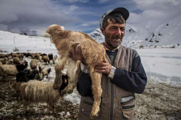 Osman Furkan Ozkan (Turkiye) – the gaze of a winter…