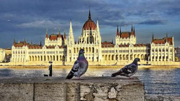 Petros Zervos (Greece) – HUNGARIAN PARLIAMENT