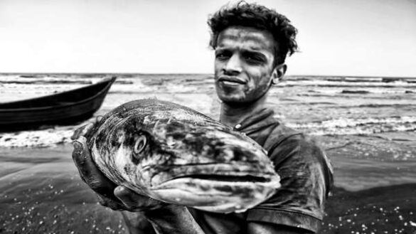 Reza Javadi (Iran) – SEA