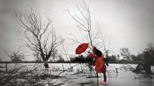 Rumen Somov (Bulgaria) – windy