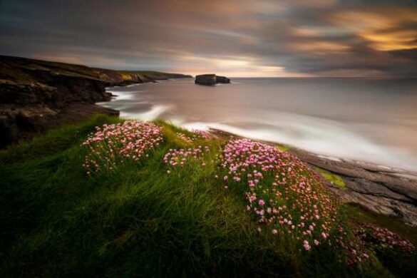 Ryszard Lomnicki (Ireland) – Kilkee Cliffs_ Irela…