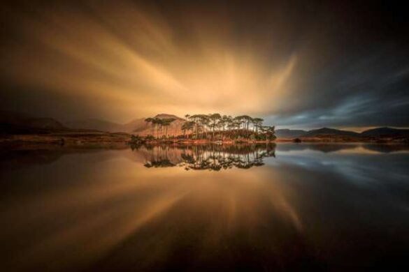Ryszard Lomnicki (Ireland) – Pine Island_ Connema…