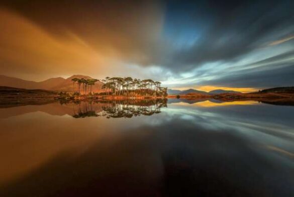 Ryszard Lomnicki (Ireland) – Pine Island_ Ireland
