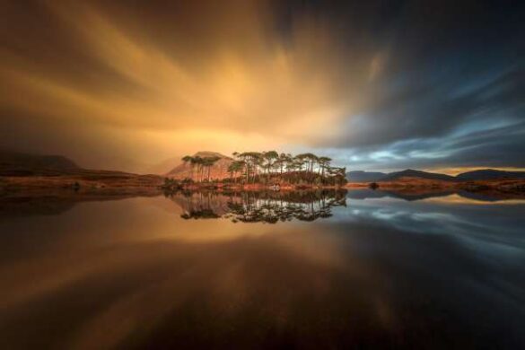 Ryszard Lomnicki (Ireland) – Pine Island_Connemar…