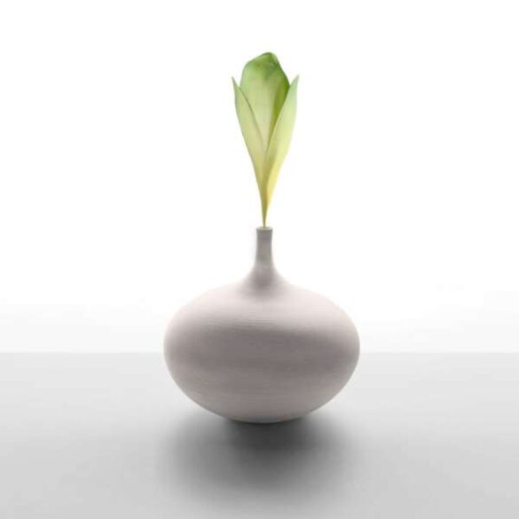 SALON Honorable Mention E-Certificate – Peter Hammer (Australia) – Vase with leaf