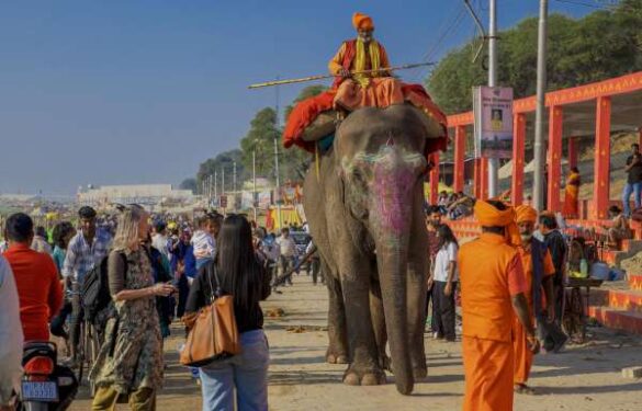 SALON Honorable Mention E-Certificate – Vinay BV (India) – Kumbh Elephant 2981