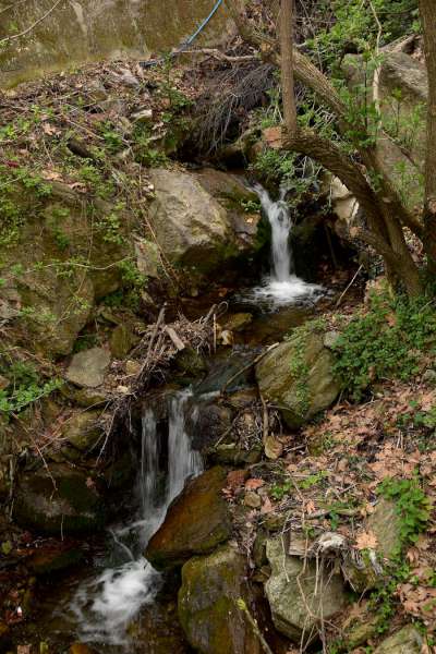 SALON Honorable Mention E-Certificate – κατερίνα μωραίτου (Greece) – Little Stream