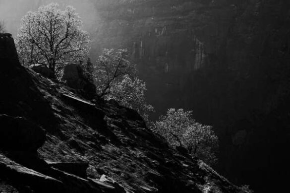 Sanjay Vaichal (India) – Amazing backlight