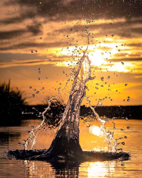Sarah Harris (New Zealand) – Sunset splash