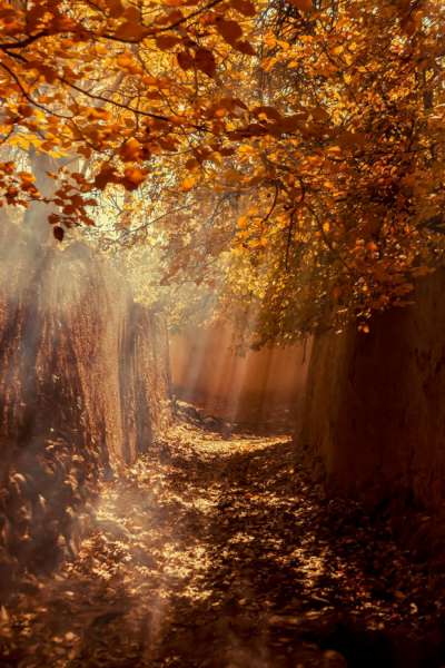 Seyed Amirmahdi Hajimohammadi (Iran) – Light 4