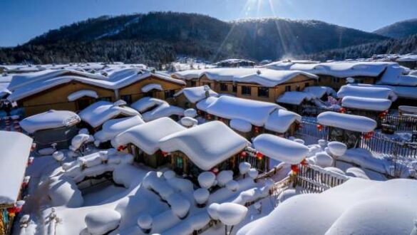 Sherman Cheang (Macau) – Ice Village
